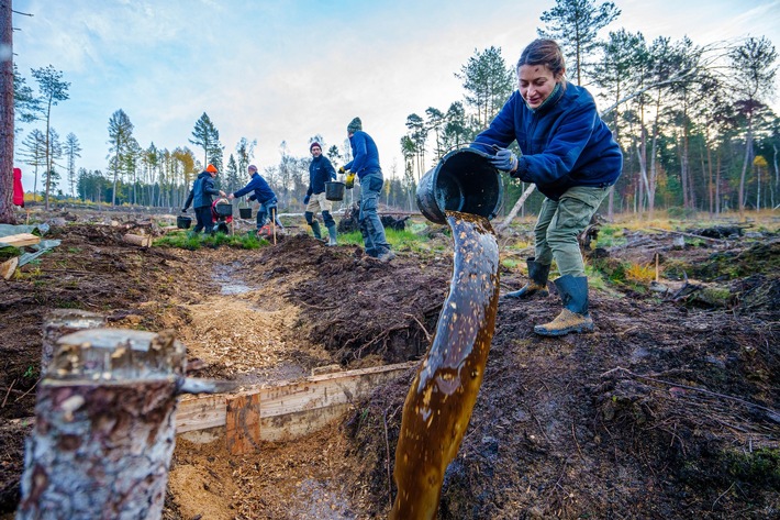 30 Freiwillige mit dem Bergwaldprojekt e.V. im Einsatz für die Moorwiedervernässung im Kaufunger Wald