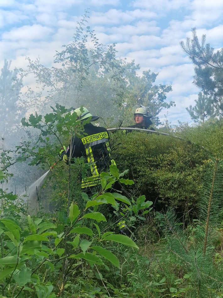 FW Celle: Zwei Vegetationsbrände in der Witzlebenstraße