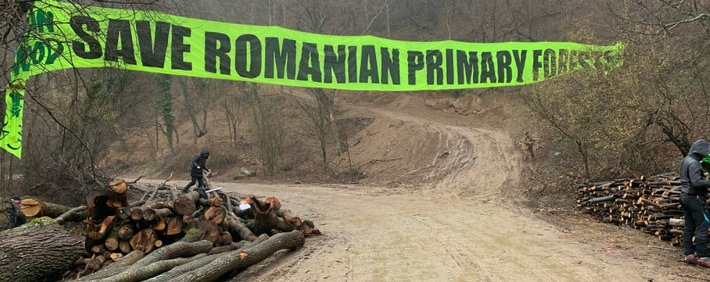 Protest gegen Zerstörung rumänischer Urwälder für Stromtrasse