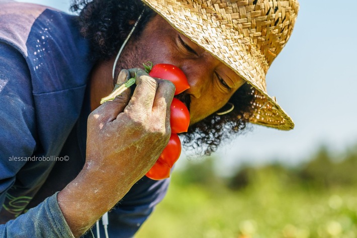 Lush Spring Prize 2019 - Starthilfe für regenerative Projekte