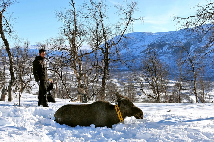 Dreharbeiten zu ZDF-Doku über Skandinaviens Paradiese (FOTO)