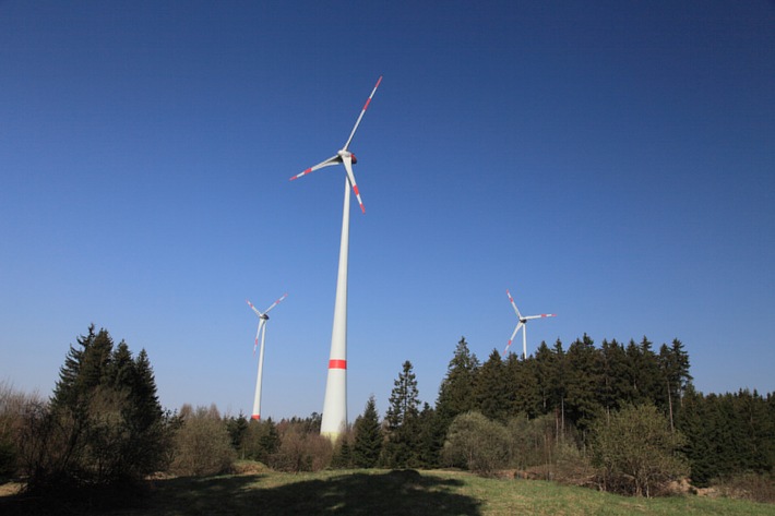 &quot;Windkraft im Visier&quot; - Deutscher Naturschutzring hält Bau von Windenergieanlagen in intensiv genutzten Wirtschaftswäldern für möglich (mit Bild)