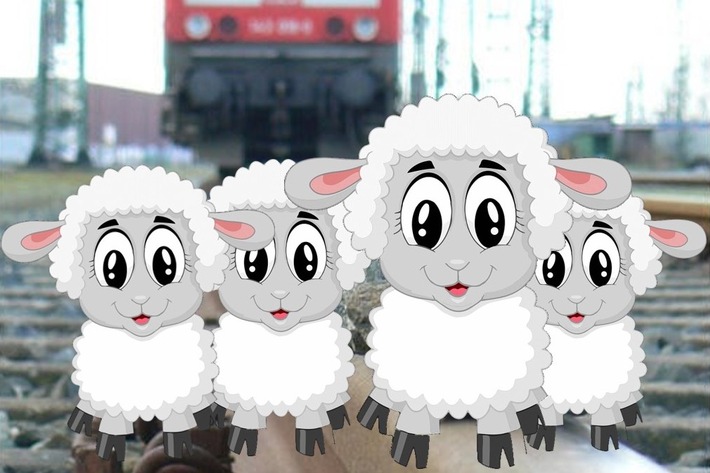 BPOL-KS: Schafe auf Gleisen stoppen Zugverkehr