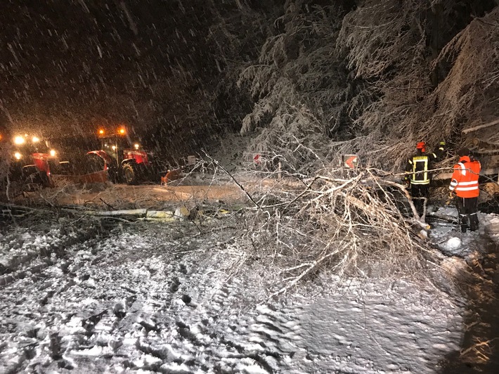 FW-HAAN: Bäume und Äste brechen unter Schneelast