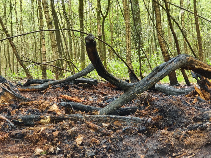 FW-Dorsten: Waldbrand am gestrigen Abend