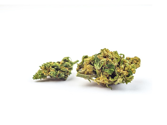 CBD-Sorten verstehen: Warum Indica, Sativa und Hybrid nur der Anfang sind