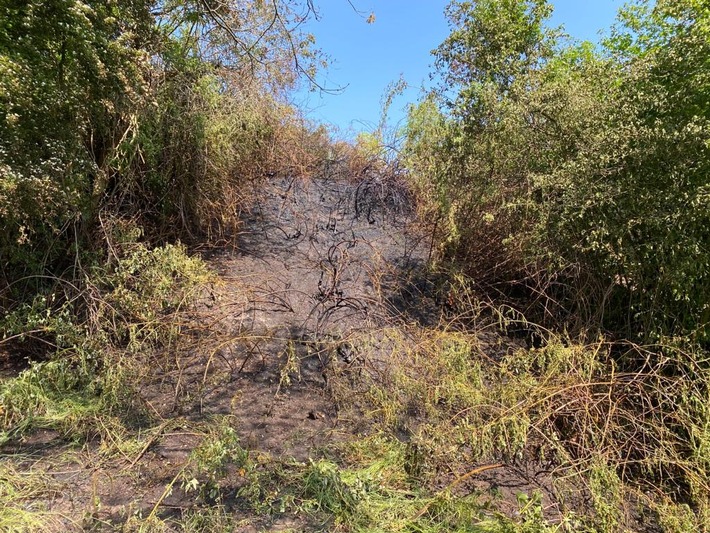 FW-Schermbeck: Böschungsbrand an der Maassenstraße