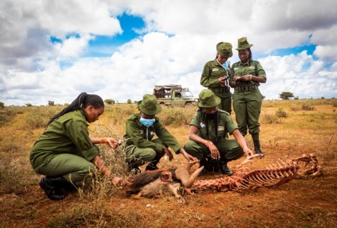 Mehr Frauen für den Naturschutz: Acht neue Rangerinnen treten Dienst in Kenia an