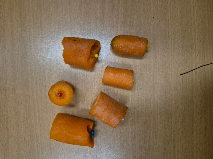 POL-SE: Wedel - Pferd wird durch mit Nadeln präparierte Karotten verletzt - Polizei leitet Strafverfahren ein und sucht Hinweise