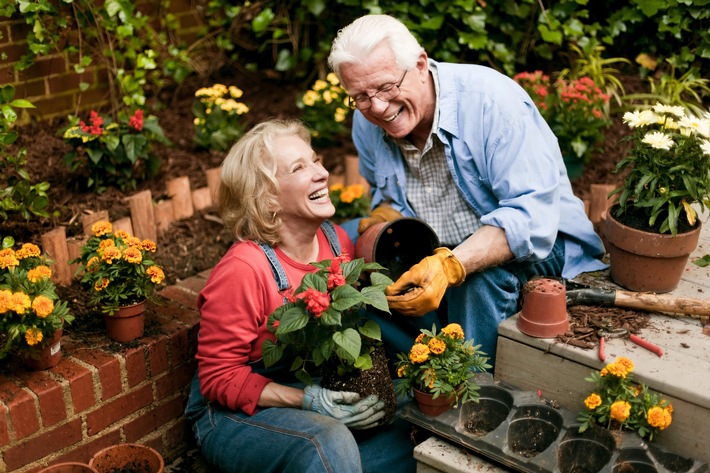 Sommer im Garten / Wenn Jäten, Harken und Co. Rücken und Gelenke belastet