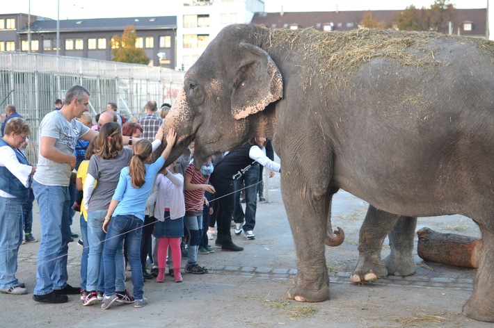 Wildtierverbot für Zirkusgastspiele in Stuttgart - gegen den Trend und die eigene Verwaltung