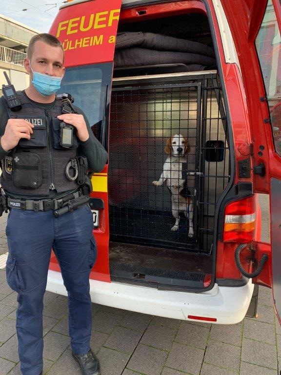 BPOL NRW: Bundespolizisten unterbinden mutmaßlichen Handel mit Hundewelpen