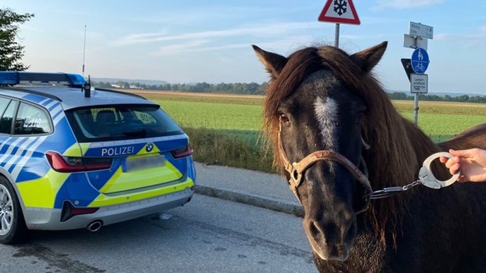 Bundespolizeidirektion München: Pony in Handschellen &quot;abgeführt&quot; / Polizisten können Pony Wotan einfangen