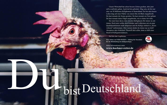 VIER PFOTEN startet bundesweite &quot;Hühner-Retter-Kampagne&quot; / Bundesländer planen Aufhebung des Käfigverbotes für Legehennen