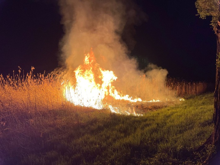 FW Reichenau: Schilfbrand schnell gelöscht, Reichenau L221, 14.04.2024