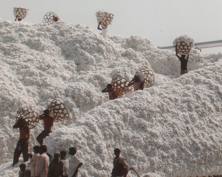 Passion for Cotton! / 35. Internationale Baumwolltagung Bremen -The Hybrid Edition / Topthema: Verantwortung. Auch bei der Rohstoffproduktion