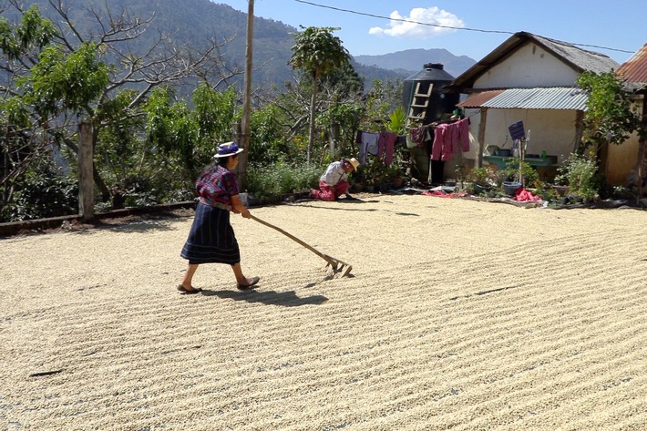 &quot;Ein Duft von Freiheit&quot;: 3sat zeigt Dokumentation über eine Kaffeegenossenschaft in Guatemala
