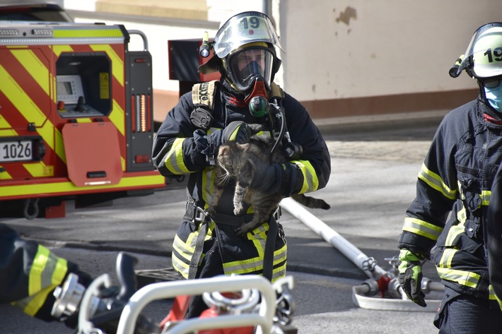 FW-DO: Feuerwehr rettet Hund und Katze aus brennender Wohnung