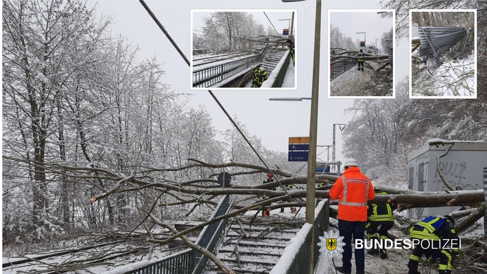 Bundespolizeidirektion München: Baum kippt auf Bahnsteig und reißt Stromleitung herunter / Reisende kommen verletzt ins Krankenhaus