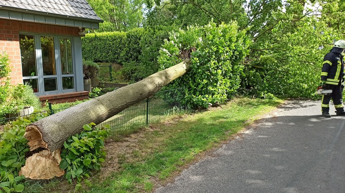 FW-KLE: Sturmbedingte Einsätze der Freiwilligen Feuerwehr Bedburg-Hau/ Baum kippt in Vorgarten