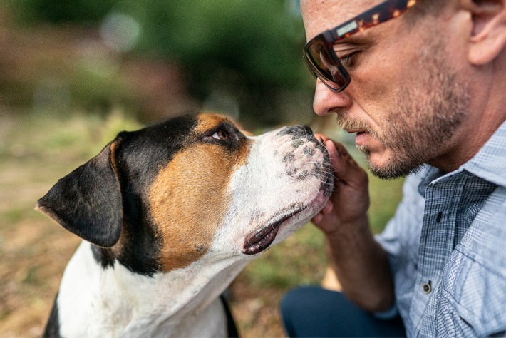 Teurer als gedacht! / Rover-Umfrage zeigt: Fast jede:r zweite Hundehalter:in unterschätzt die Kosten