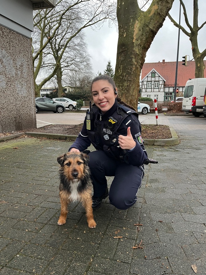 POL-GT: Terrier Charlie aus Rietberg wurde in Gütersloh von einem aufmerksamen Hinweisgeber erkannt