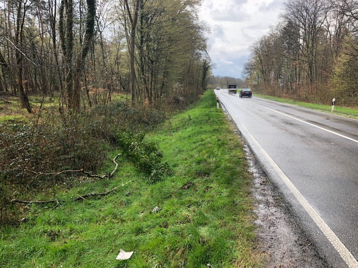 POL-PDLD: Kollision mit Baum in der Gemarkung Hatzenbühl