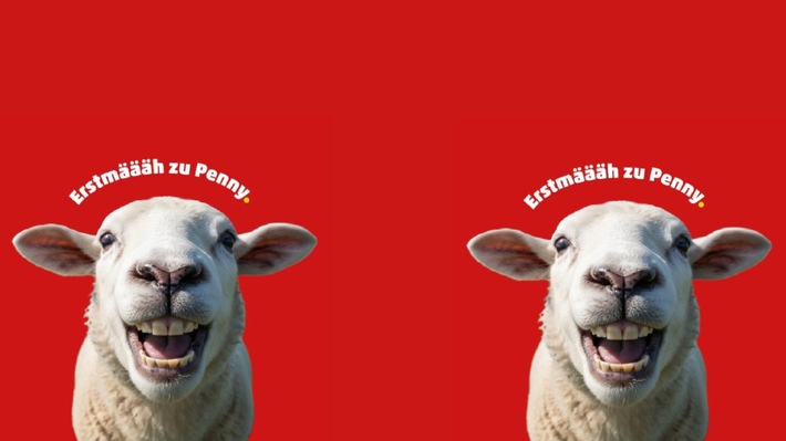 Presse-Einladung / "Määhga Aktion in Burgsinn: PENNY übernimmt Patenschaft für 700 Schafe