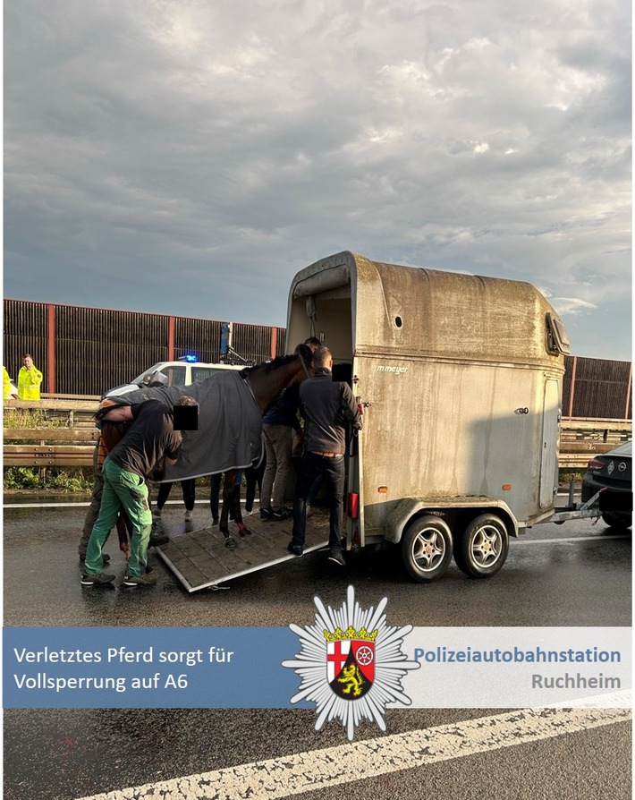 POL-PDNW: Polizeiautobahnstation Ruchheim - Verletztes Pferd verursacht Vollsperrung auf A 6