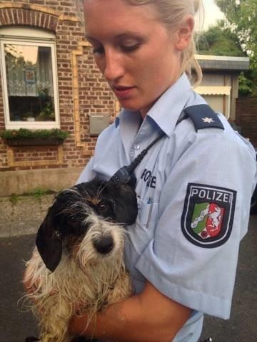 POL-D: Kaiserswerth - Polizisten retten vermissten Hund - Lucka und Herrchen wieder vereint