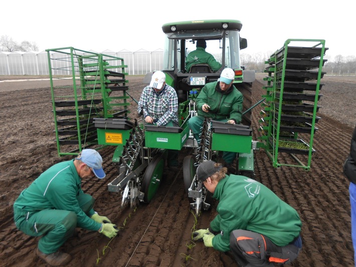 "Bio ist kein Hexenwerk": Als Landwirt von den Erfahrungen der Demonstrationsbetriebe profitieren