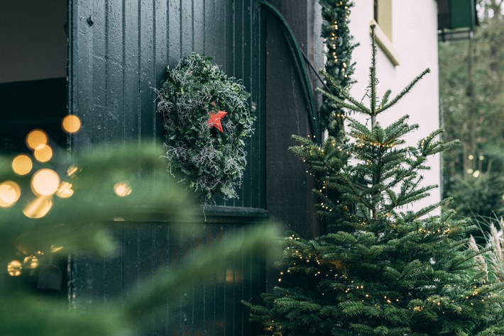 VNWB_Weihnachtsbaumkauf 2024.jpg