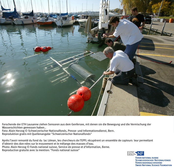 FNS: Image du mois janvier 2006: Mécanismes doxygénation découverts par des chercheurs de lEPFL