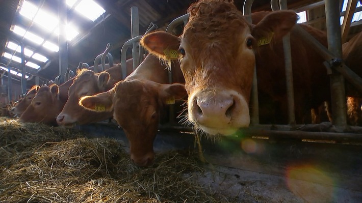 "planet e." im ZDF über Tierschutz, Tierwohl, Tierrecht (FOTO)