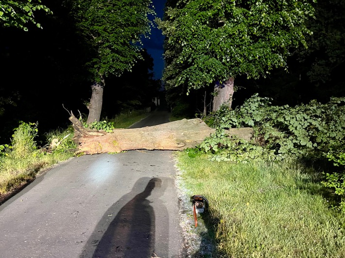FW Hünxe: Baum blockierte Fahrbahn