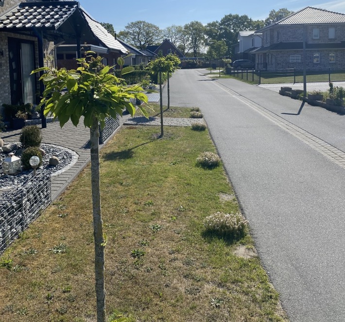 POL-CUX: Straßenbäume der Gemeinde in Beverstedt beschädigt - Zeugenaufruf (Foto im Anhang)