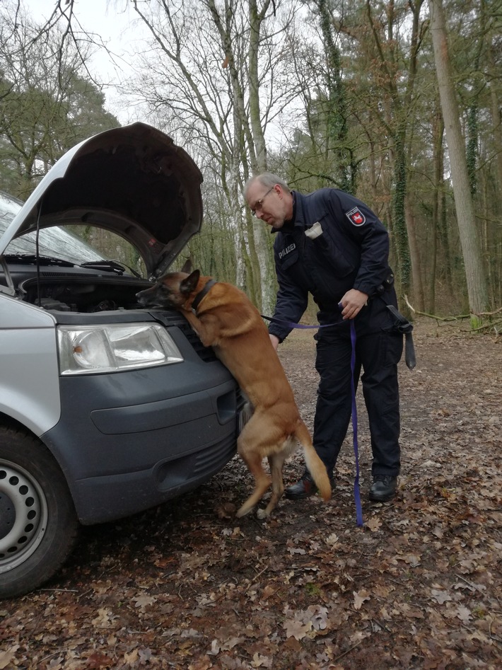 POL-NI: Nienburg-Polizeihund "Collyn" findet nach Verfolgungsfahrt Betäubungsmittel im Pkw