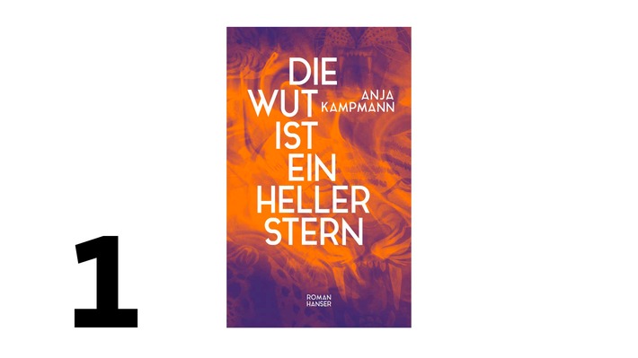1. Platz der SWR Bestenliste im November 2025: "Die Wut ist ein heller Stern" / Roman von Anja Kampmann/ 10 neue Leseempfehlungen für November auf SWR.de/bestenliste