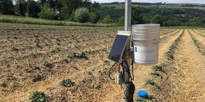 Communiqué de presse : AgriAqua : une nouvelle spin-off qui optimise l’utilisation de l’eau dans l’agriculture