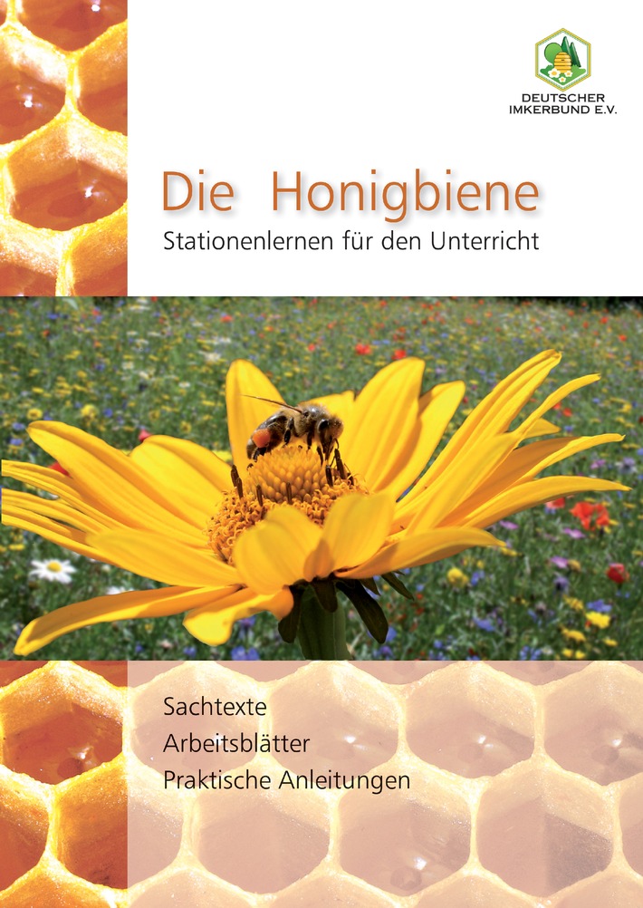 Die Honigbiene - Stationenlernen für den Unterricht / Deutscher Imkerbund veröffentlicht Material für Sekundarstufe (BILD)