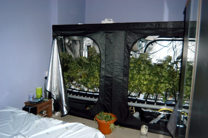 POL-D: Polizei entdeckt Drogenplantage in Oberbilker Mietwohnung - Züchter und Erntehelfer vorläufig festgenommen - Fotos beigefügt