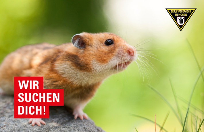 FW-M: Feuerwehr München sucht Kleintiere für den Einsatzdienst