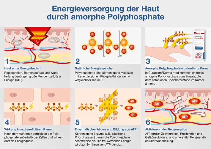 Neuer Wirkstoff versorgt Haut mit Energie / Amorphe Polyphosphate unterstützen Hautregeneration