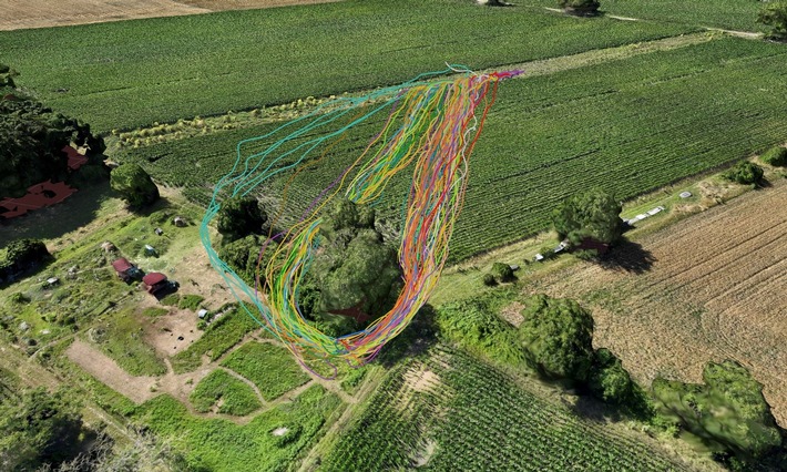 Honigbienen navigieren präziser als bislang angenommen