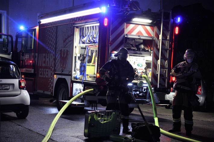FW-E: Kellerbrand in einem Mehrfamilienhaus, Feuerwehr findet vier Pythons bei den Löscharbeiten
