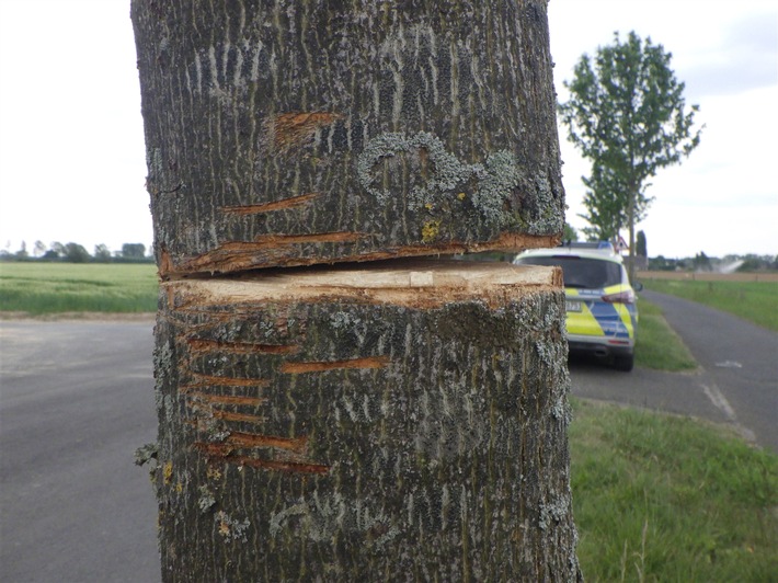 POL-KLE: Kleve - Straßenbaum angesägt