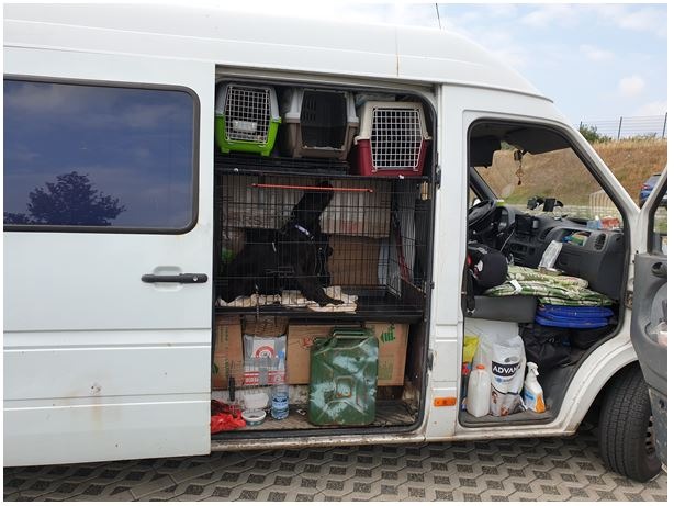 POL-BI: Ungewöhnlicher Hundetransport aus Osteuropa bei Herford gestoppt