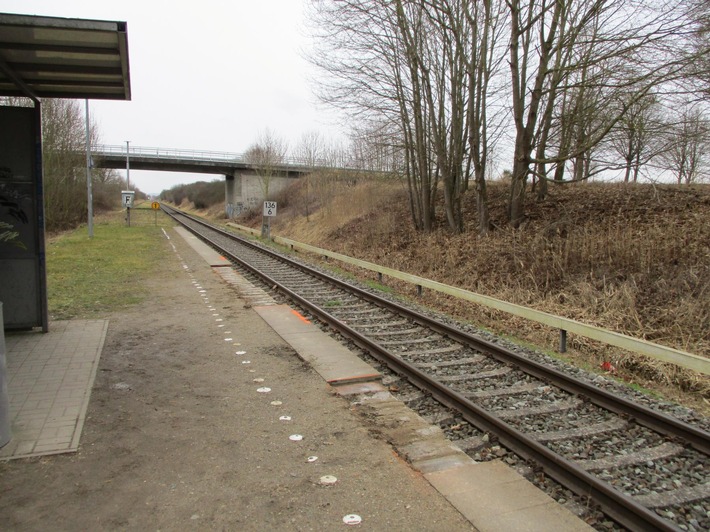 BPOL-HRO: Unbekannte entfernen Gehwegplatten vom Bahnsteig