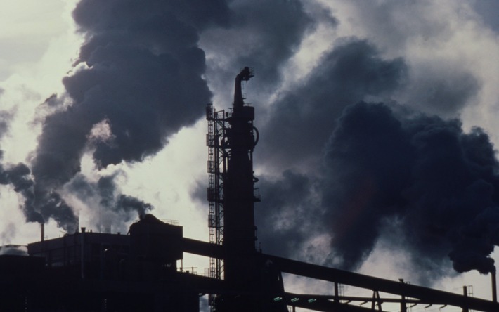 WWF kritisiert: Hilfen für Industrieunternehmen gab es ohne die konsequente Vereinbarung über Gegenleistungen