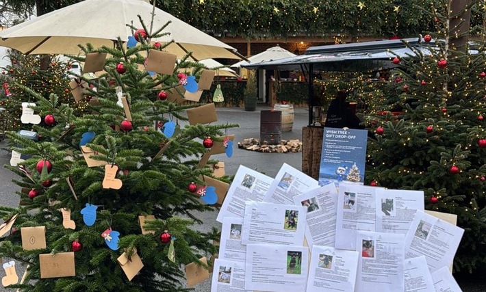 Wunschbaumaktion 2025: TIMOCOM erfüllt Herzenswünsche zu Weihnachten